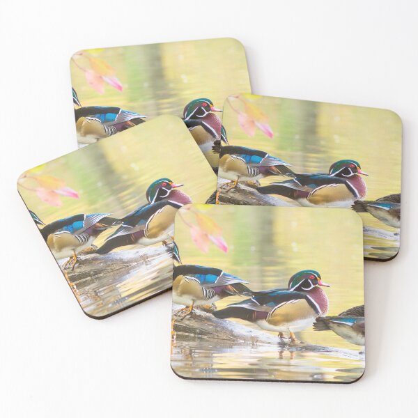 Item preview, Wood-ducks panorama designed and sold by MIRCEA COSTINA.