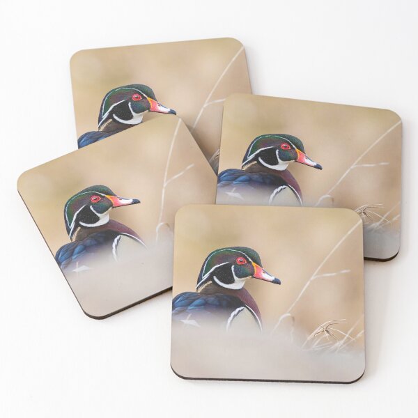 Item preview, Mr Wood Duck designed and sold by MIRCEA COSTINA.