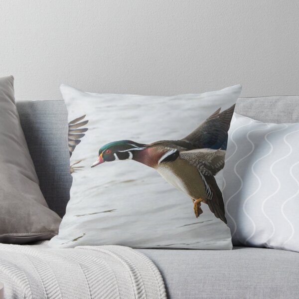 Item preview, Wood Duck Panorama designed and sold by MIRCEA COSTINA.