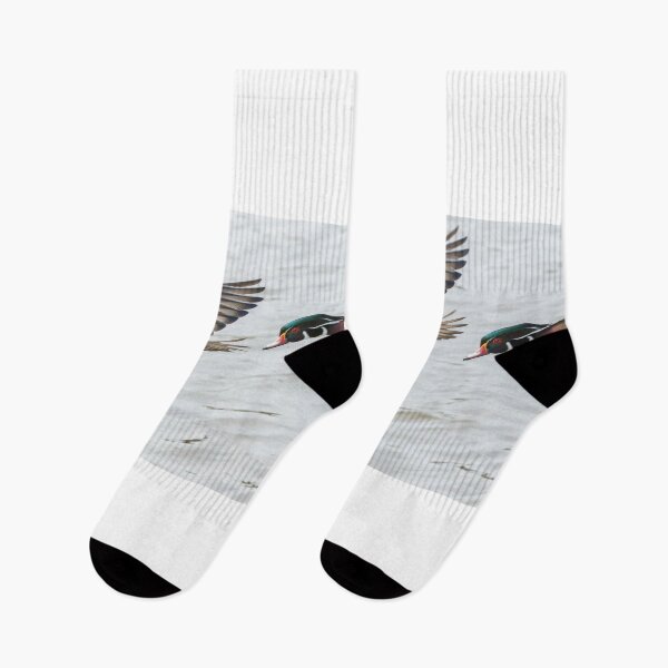 Item preview, Wood Duck Panorama designed and sold by MIRCEA COSTINA.