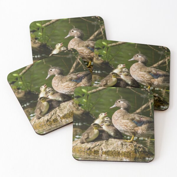 Item preview, Wood duck family  designed and sold by MIRCEA COSTINA.