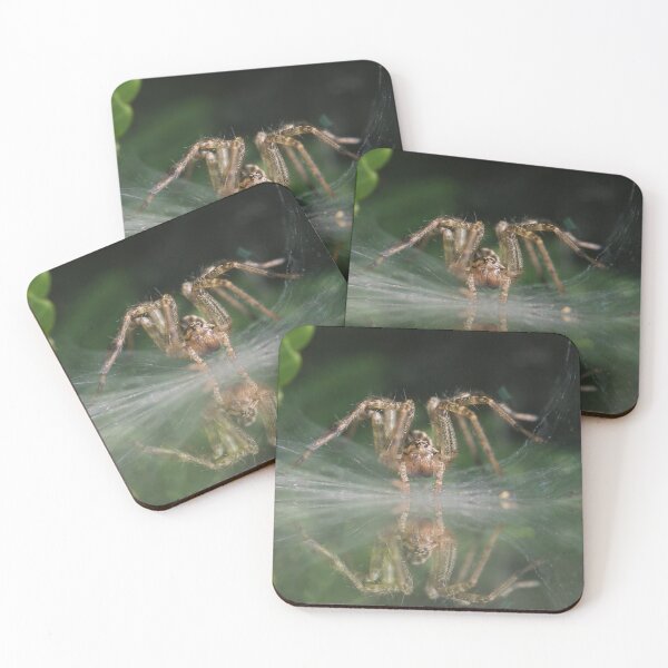 Item preview, Wolf spider  designed and sold by MIRCEA COSTINA.