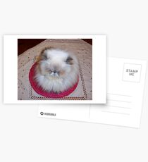 Centerpiece? Postcards