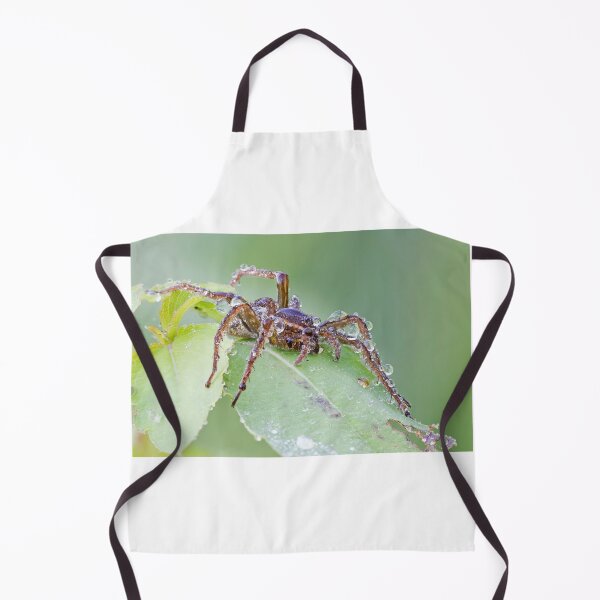 Item preview, Wolf spider in dew designed and sold by MIRCEA COSTINA.