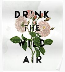 Drink the Wild Air Poster
