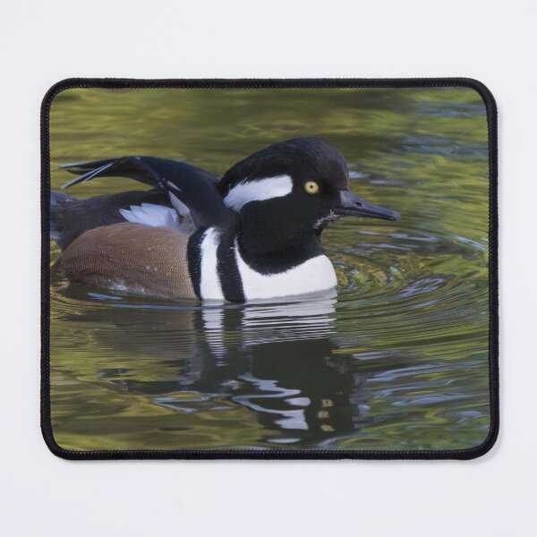 Item preview, Hooded Merganser designed and sold by LaurenTucker.