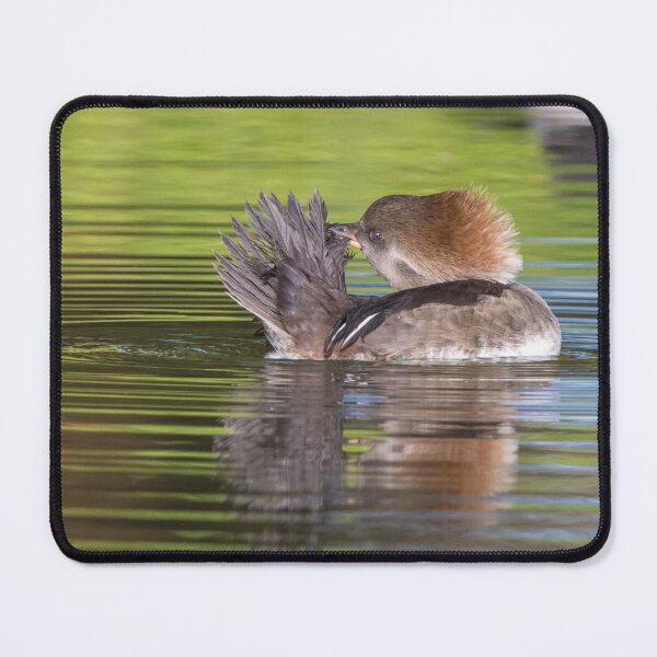 Item preview, Hooded Merganser designed and sold by LaurenTucker.