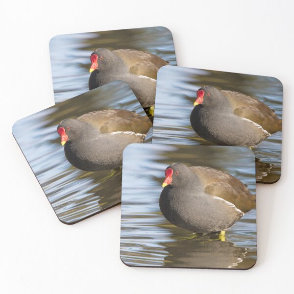 Item preview, Common Moorhen designed and sold by LaurenTucker.