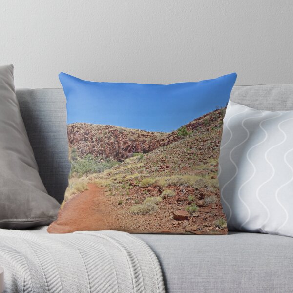 Walk to Python Pool Throw Pillow