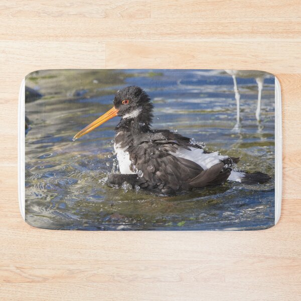 Item preview, Eurasian Oystercatcher designed and sold by LaurenTucker.