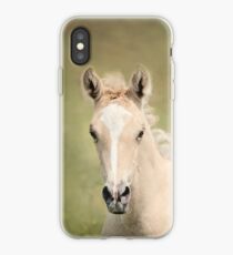Palomino Colt 6 iPhone Case