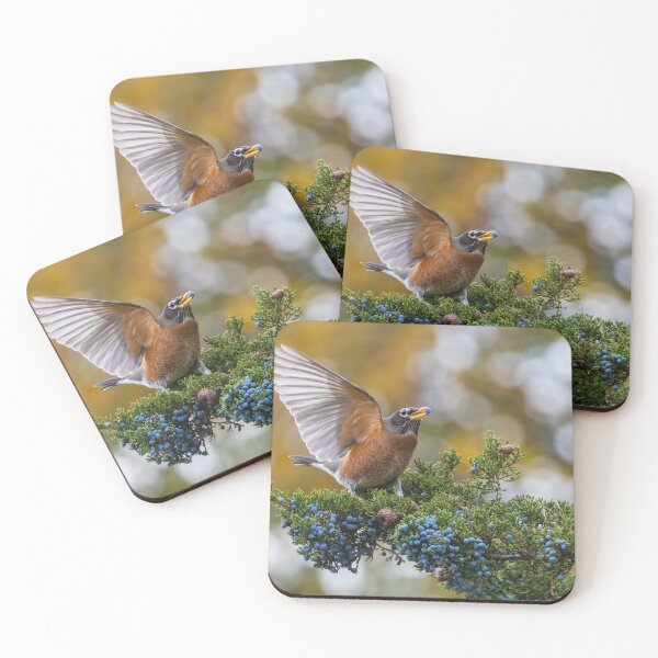 Item preview, Autumn Robin designed and sold by MIRCEA COSTINA.