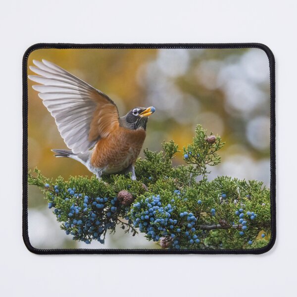 Item preview, Autumn Robin designed and sold by MIRCEA COSTINA.