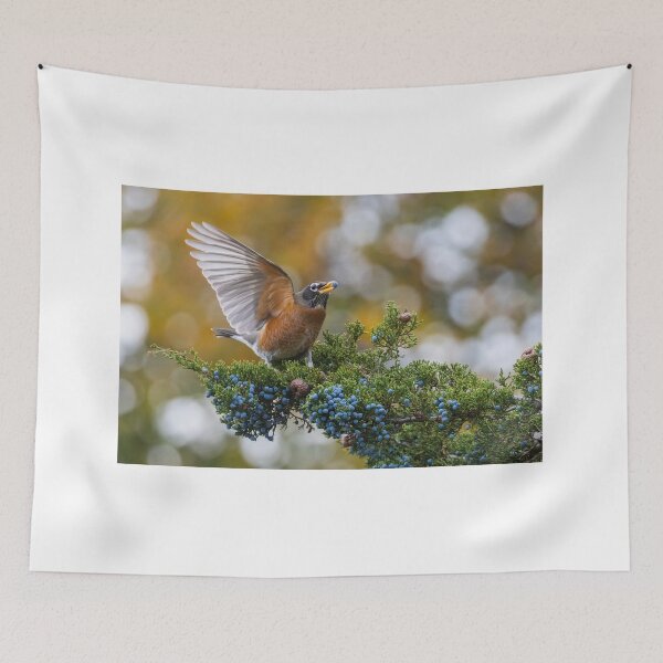 Item preview, Autumn Robin designed and sold by MIRCEA COSTINA.