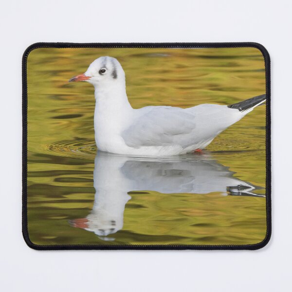 Item preview, Black Headed Gull designed and sold by LaurenTucker.