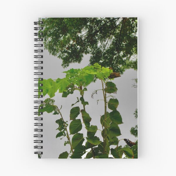 Item preview, Still growing designed and sold by Shulie1.