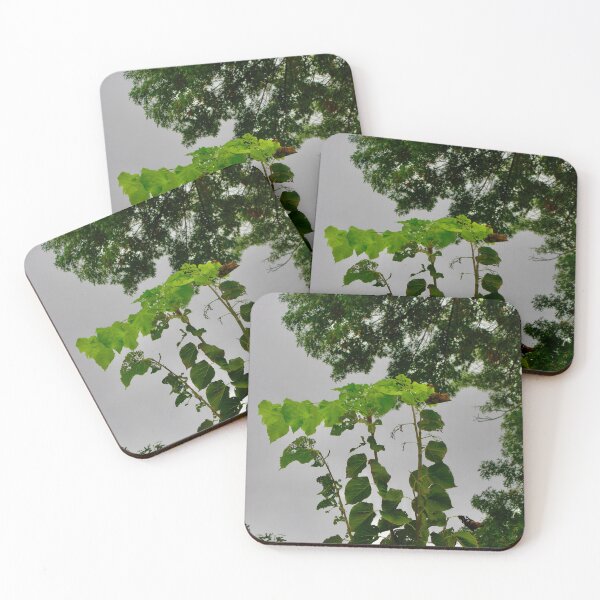 Item preview, Still growing designed and sold by Shulie1.