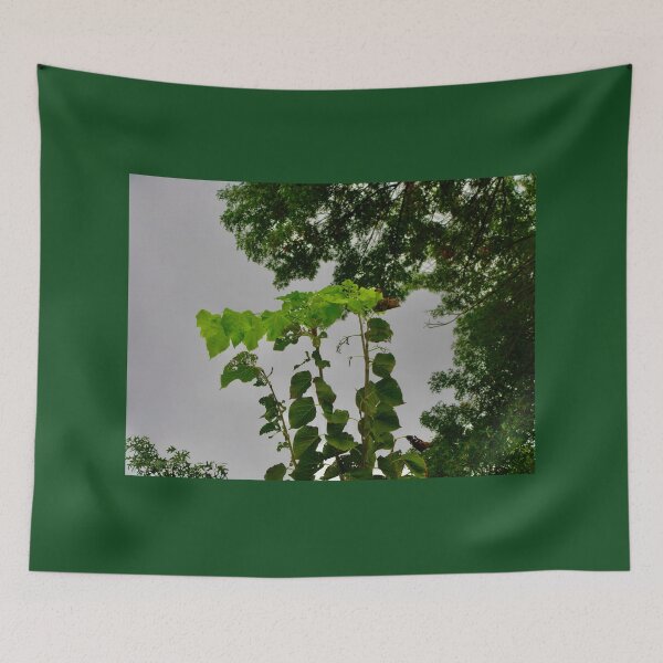 Item preview, Still growing designed and sold by Shulie1.