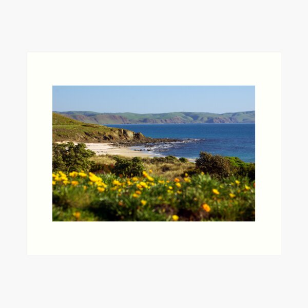 Item preview, Carrickalinga Beach, Fleurieu Peninsula designed and sold by Darius4522.