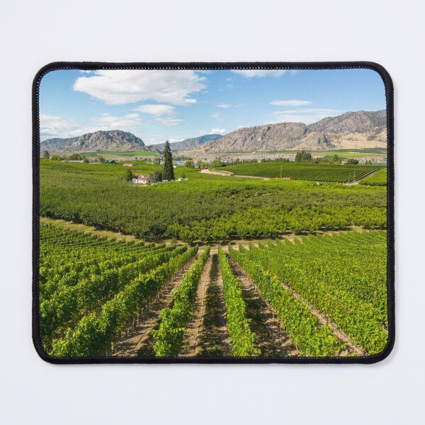 Item preview, Okanagan Valley British Columbia Winery Vineyard Landscape designed and sold by Kevin Miller Photography.