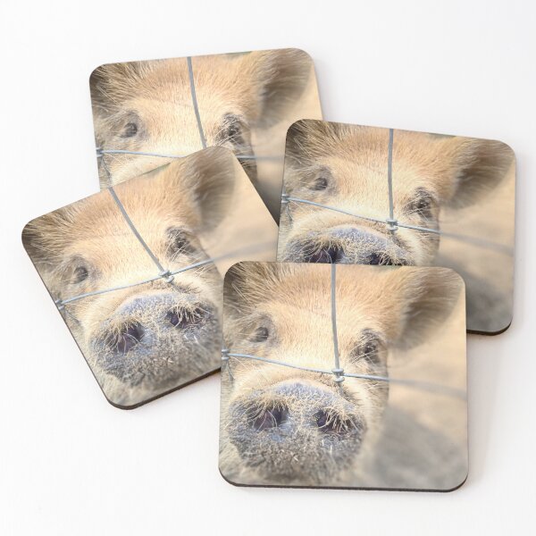 Item preview, Oink oink piggie designed and sold by TinaFaye.