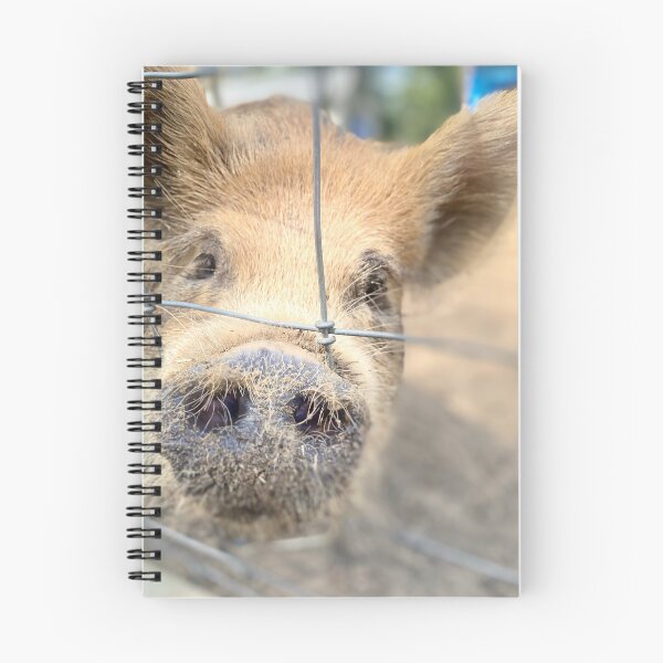 Item preview, Oink oink piggie designed and sold by TinaFaye.