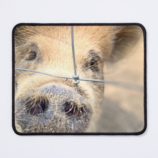 Item preview, Oink oink piggie designed and sold by TinaFaye.