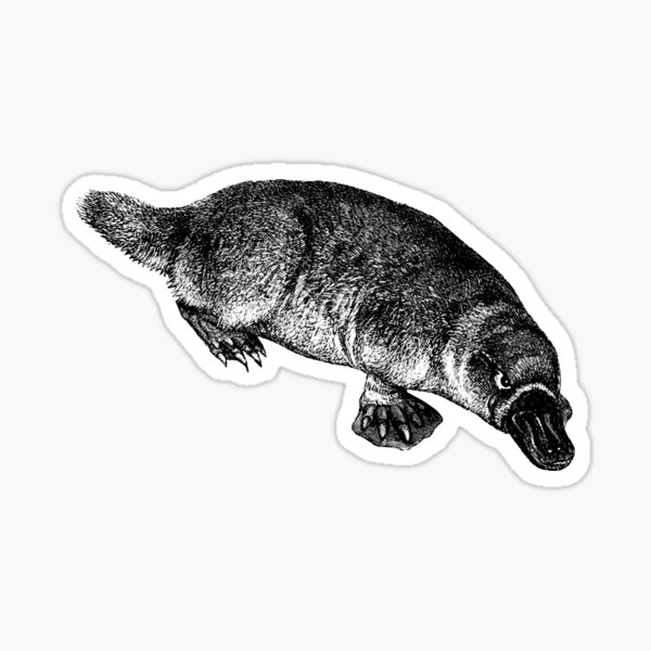 Item preview, Vintage Australian Platypus designed and sold by TheNewAntique.