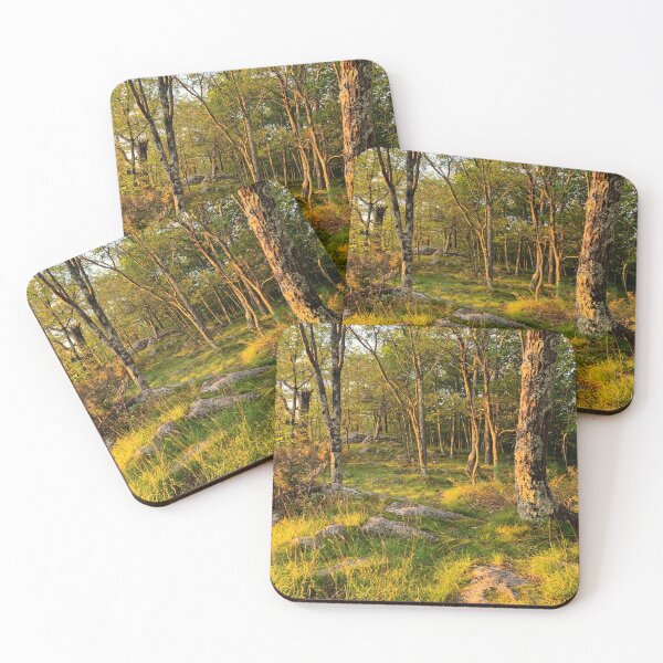 Item preview, Stewarts Ledge in Lake George designed and sold by gwilsonupstate.