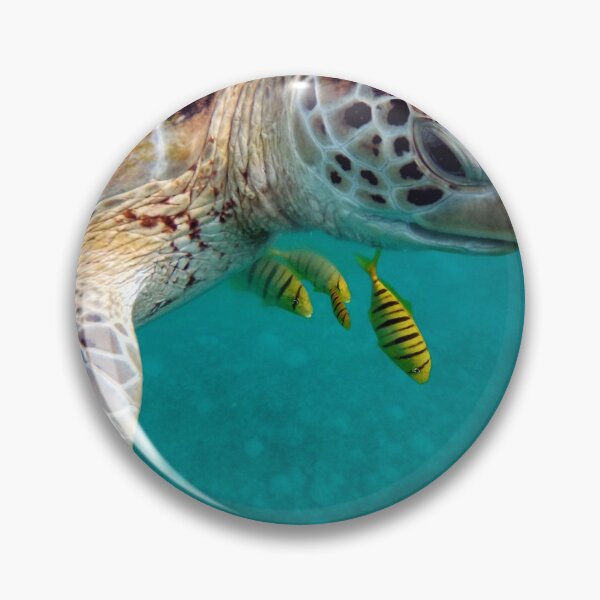 Item preview, Turtle designed and sold by market1989.
