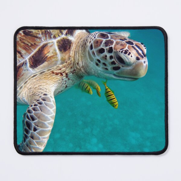 Item preview, Turtle designed and sold by market1989.