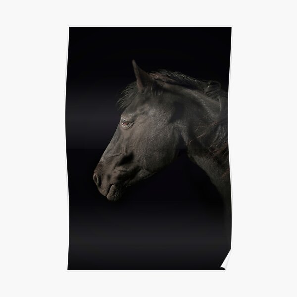 Dark Horse 1 Poster