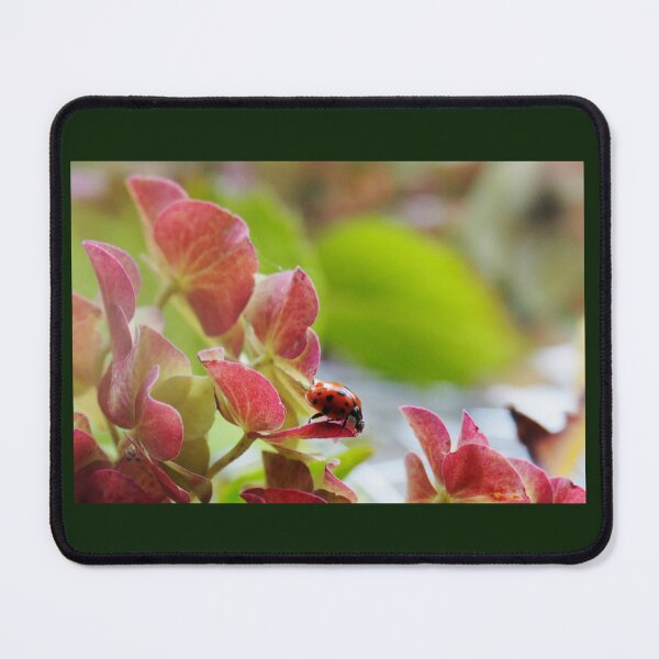 Item preview, Hidden in Winter Plant designed and sold by lynn carter.