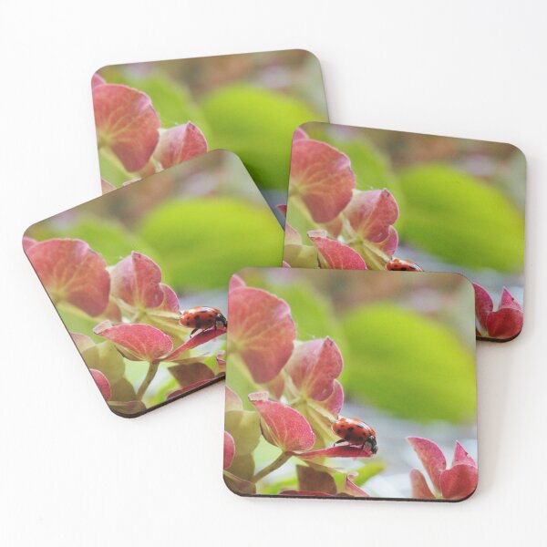Item preview, Hidden in Winter Plant designed and sold by lynn carter.