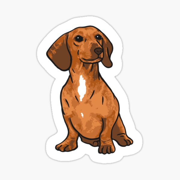 Item preview, The Dachshund designed and sold by Becks1029.