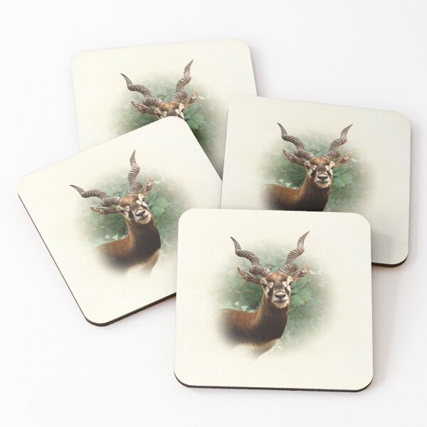 Item preview, Blackbuck designed and sold by Guardi71.