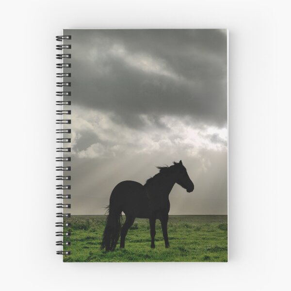 Item preview, Black Horse designed and sold by Bernard Rose.
