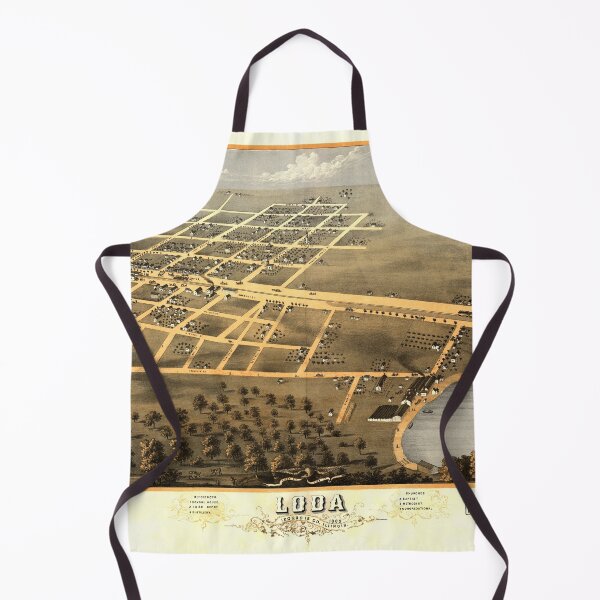 Item preview, Aerial View of Loda, Illinois (1869) designed and sold by allhistory.