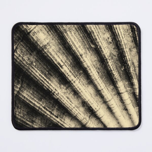 Item preview, Shell Abstract designed and sold by David Lichtneker.