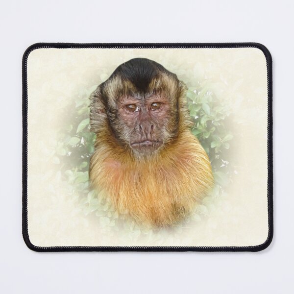 Item preview, Tufted capuchin designed and sold by Guardi71.