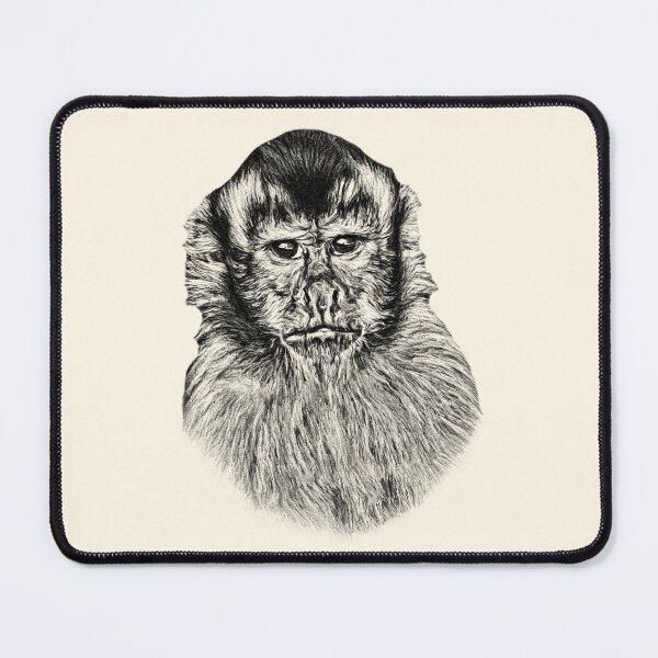 Item preview, Tufted capuchin designed and sold by Guardi71.
