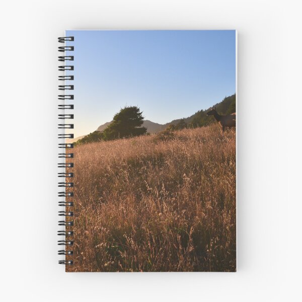 Item preview, Sinkyone Wilderness SP, Mendocino County, California designed and sold by Mike Kunes.