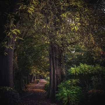 Artwork thumbnail, Winding Path by Joanne Kendrick