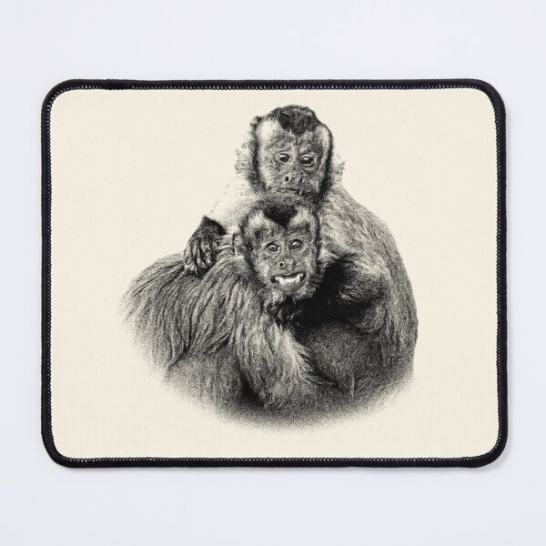 Item preview, Tufted capuchins designed and sold by Guardi71.