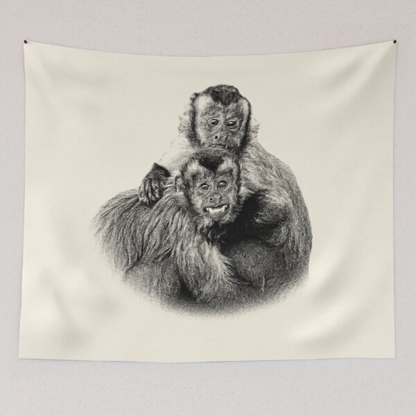 Item preview, Tufted capuchins designed and sold by Guardi71.