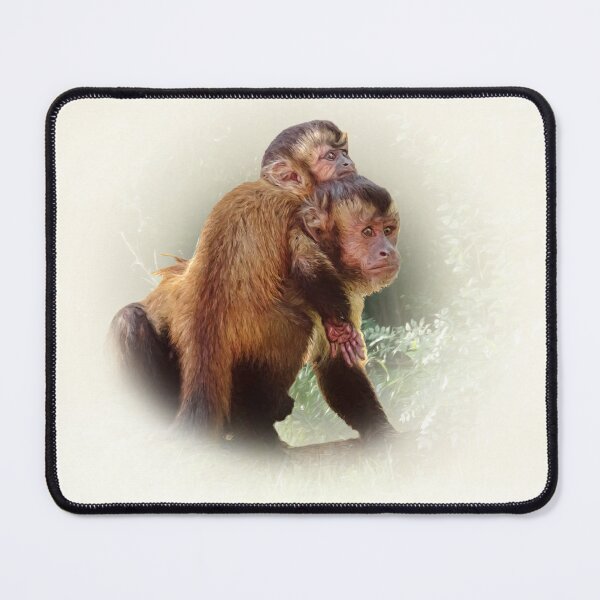 Item preview, Tufted capuchin designed and sold by Guardi71.