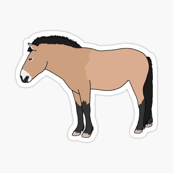 Aperçu de l'œuvre Le cheval de Przewalski créée et vendue par taylorrowan.