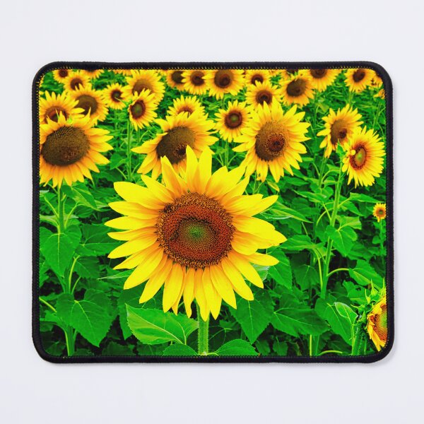 Item preview, Beautiful Sunflowers designed and sold by pcole123.