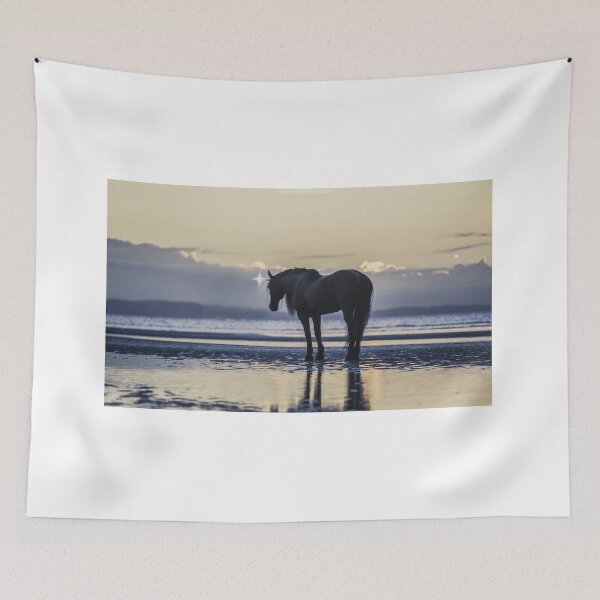Item preview, I will find my way Home designed and sold by EMcleanphotos.