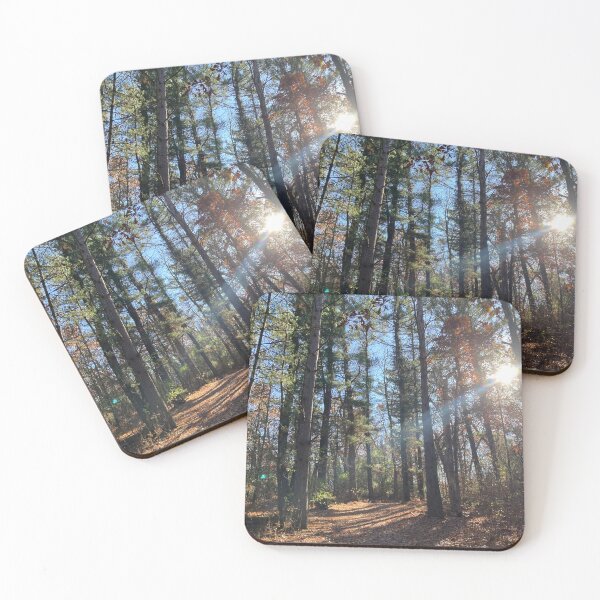 Item preview, November Hike Through the Forest  designed and sold by Bridget Swanson.